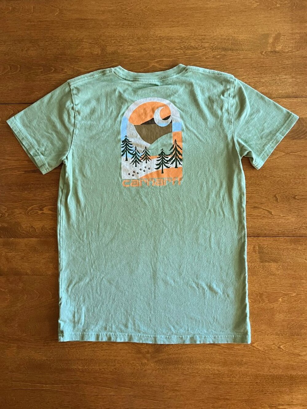 Carhartt sage green graphic tee L 14-16